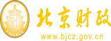 插屄视频我看看北京市财政局