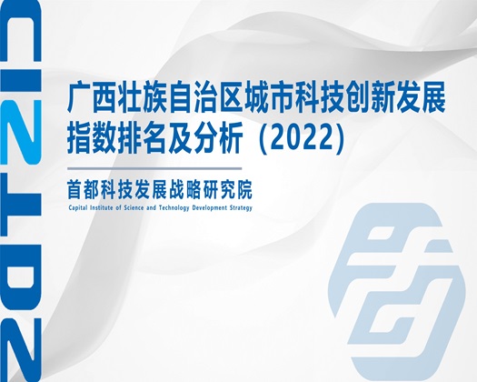 大逼配大鸡夫妻【成果发布】广西壮族自治区城市科技创新发展指数排名及分析（2022）